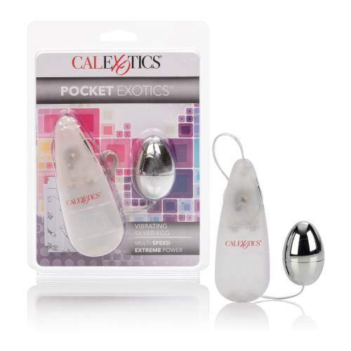 Pocket Exotics Vibrating Egg - Silver  4