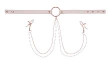 Peaches N Creame Collar With Nipple Clamps - Pink