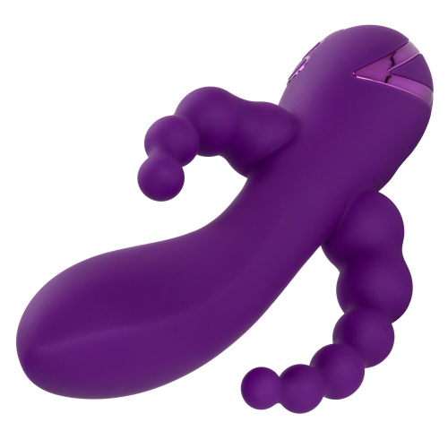 California Dreaming Long Beach Bootylicious - Purple  5