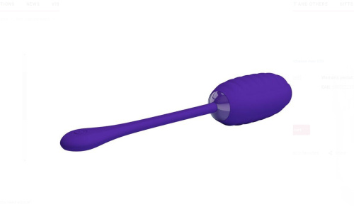 Kirk Rechargeable Vibrating Egg - Purple  2