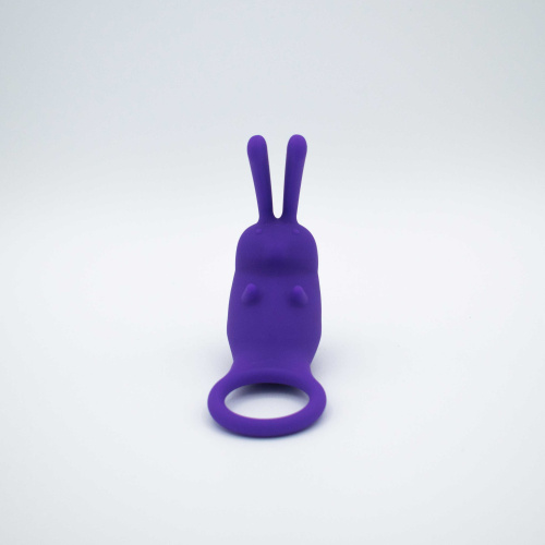 The Cock Hopper Cock Ring and Bullet Vibrator - Purple  4