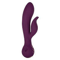 Obsession - Desire - Purple