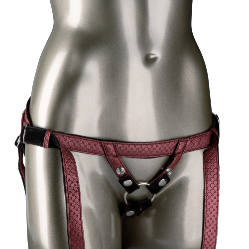 Her Royal Harness the Regal Duchess - Red  2