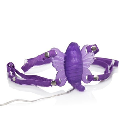 Venus Butterfly 2 - Purple  4