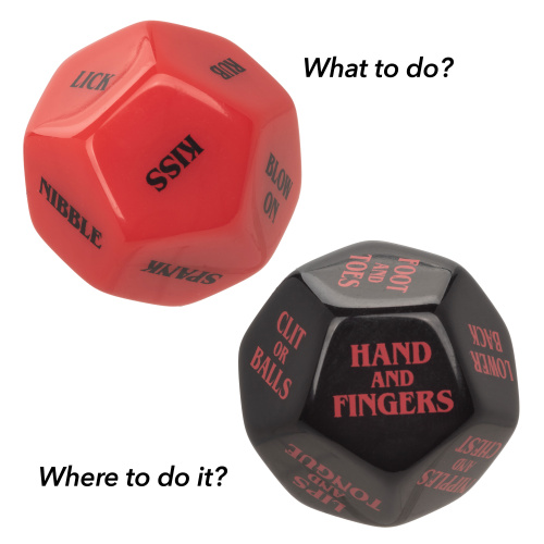 NAUGHTY BITS ROLL PLAY NAUGHTY DICE SET  5