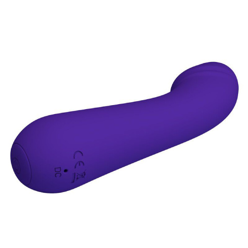 Cetus Rechargeable Vibrator - Purple  5