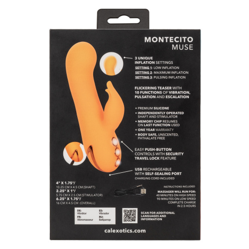 California Dreaming Montecito Muse - Orange  2