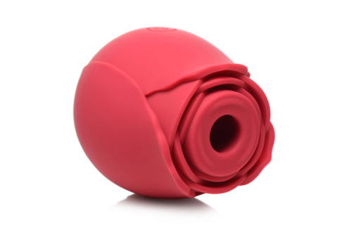 The Rose Lover's Gift Box Bloomgasm - Red  5