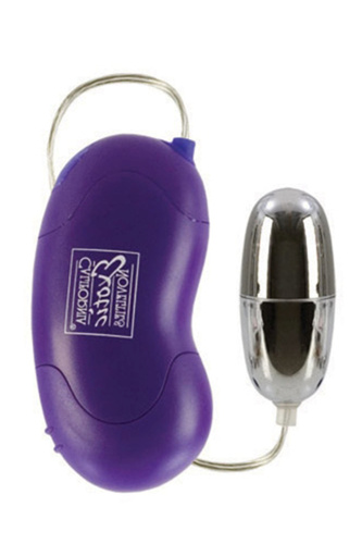 Bliss Bullet - Purple  2