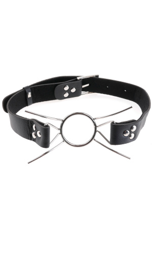 Fetish Fantasy Extreme Spider Gag  3