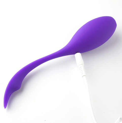 Syrene Remote Control Luxury USB Rechargeable  Bullet Vibrator - Purple  2