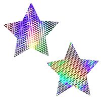 Liquid Party Silver Holographic Starry Nights  Nipztix Pasties