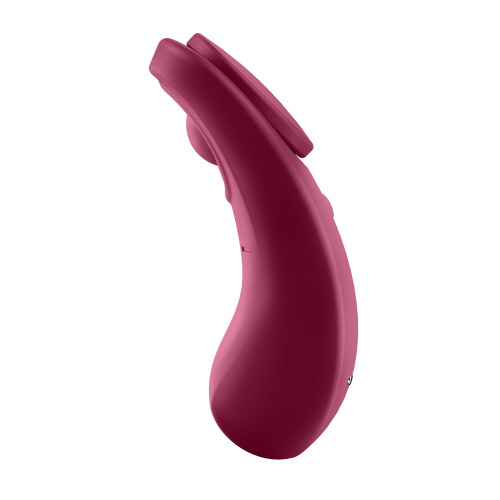 Sexy Secret - Panty Vibrator  2