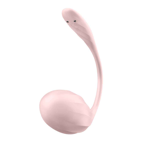 Ribbed Petal Connect App - Rose  5