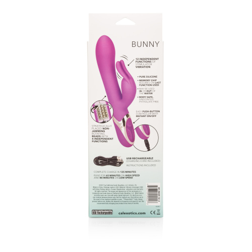 Enchanted Bunny  2