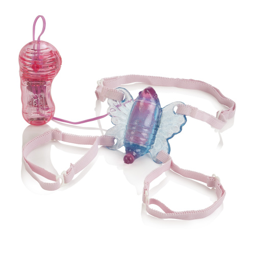 Shanes World Venus Butterfly  3