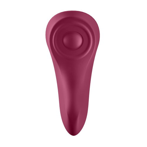 Sexy Secret - Panty Vibrator  4