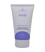 Intimate Enhancements Numb - Mint Anal Gel - 2 Oz. - Boxed