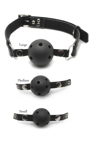 Fetish Fantasy Series Ball Gag Training System  2