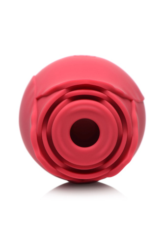 The Rose Lover's Gift Box Bloomgasm - Red  4
