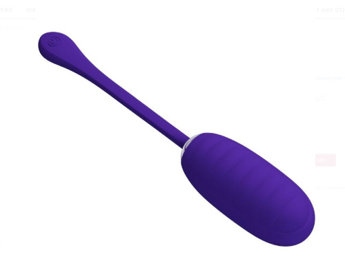 Kirk Rechargeable Vibrating Egg - Purple  4
